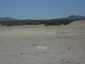 Shooting an LWRC 10.5-inch SBR 500+ yards