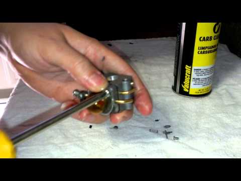 how to clean a carburetor in a weed eater