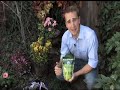 How To Water Less and Get Better Results How To Water Less and Get Better Results