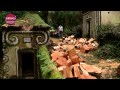 ver trabalho Todos Pela Mata do Buçaco