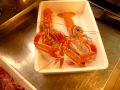 SCAMPI VIVI