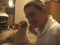 Furby the Amazing Dog