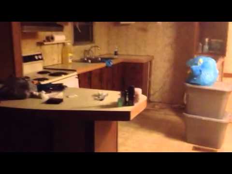 350 warrior 350 warrior