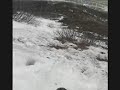 SlidingonBaldy