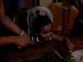 videos de nuyear