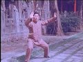 Chen Taiji (Chen Xiaowang)