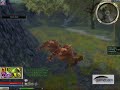Ranger Solo FoW Forest
