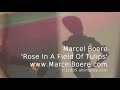 Rose In A Field Of Tulips by Marcel Boere