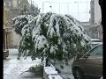 Nevicata a Corigliano Calabro Nevicata a Corigliano Calabro
