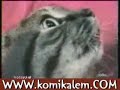 komik sesler