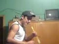 la-banda-de-lechuga-270107.html