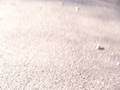 videos de Me and a firend bucket scootering 2