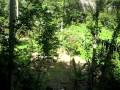 videos de Lydia Ziplining
