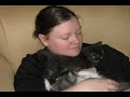 Playful Kittens Playful Kittens