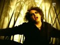 the cure-taking off the cure-taking off