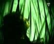 Cure Taking Off Official Music Video and Lyrics