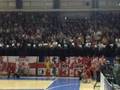 Zvezda - radnicki odbojka
