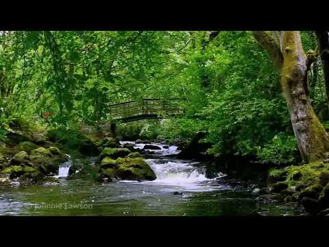 Relax 8 Hours-Relaxing Nature Sounds-Study-Sleep-Meditation-Water Sounds-Bird Song