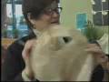 KUJH-TV News: No more paper or plastic
