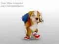 Un Perro bailando el Chacarrón