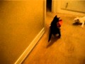 Jixer and the turkey ep 3