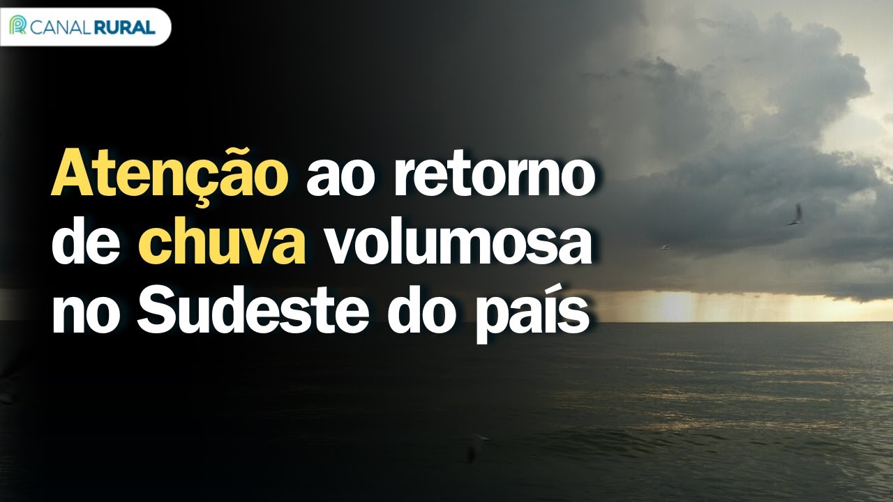 Previsão do tempo | Brasil 15 dias | Atenção ao retorno de chuva volumosa no Sudeste do país