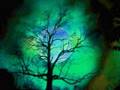 Underworld-Dark-and-