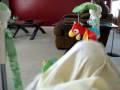 videos de PeekabooJumparoo.wmv