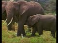 Documental magnificohttp://www.vasopato.com