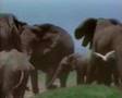 Earthlings - Terraqueos. 1ª Parte