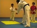 5 Year Old Refuses to Quit During Board Breaking Test 5 Year Old Refuses to Quit During Board Breaking Test