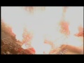 Dan Karaty's Reel
