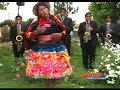 campesina de viques - borracho perdido
