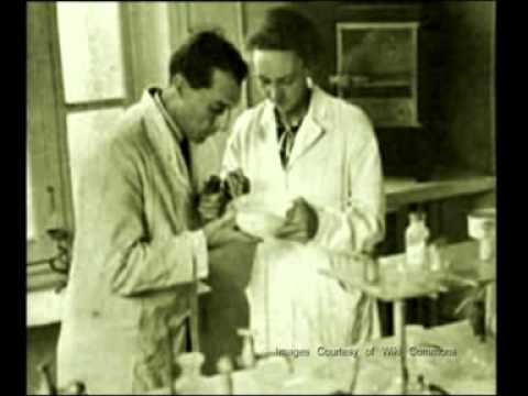 Physics - Radioactivity: Fission and Fusion