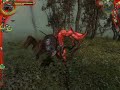 Wiedzmin Gameplay vol.1
