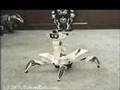 Skype Robot Demonstration with WowWee Roboquad - Video