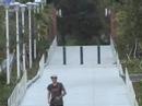 Very Old Skate Short from Danny Thomson and Andrew Garove #2