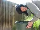 うたう犬動画