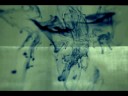 tapage - the institute of random events
coming soon on tympanik audio. the video features an exerpt from the track 'black tape'