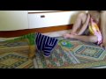 videos de maria chiara e pleo