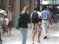 crosswalk-madness.html