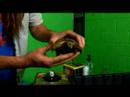 all-about-reptiles-russian-tortoises-health-tips-for-the-russian-tortoise.html