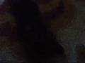 videos de koby^^