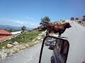De Felgueiras ao Parque da Serra do Alvão VI