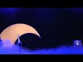 Disney's Aladdin A Musical Spectacular ''A Whole New World''