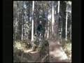 chicksands face plant crash