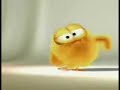 pollito canta