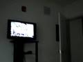 Lazy-Sunday-Wit-Ice-