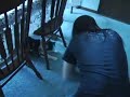 Joey and his cat fight!