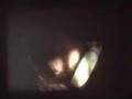 8mm video 1